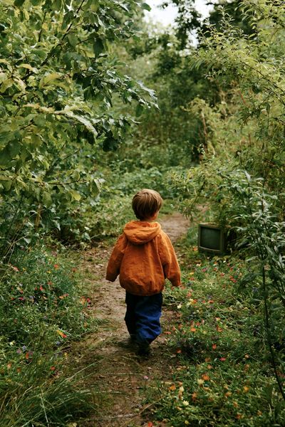 Child in Woodland Path Photography Poster.