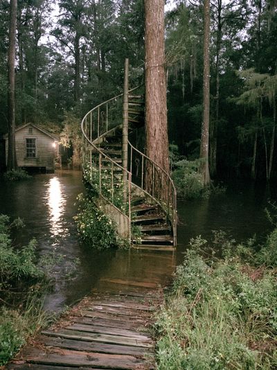 Swamp Cabin Stairway Photography Poster.