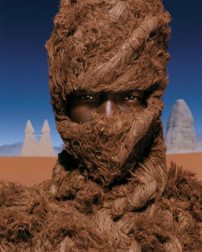 Desert Fur Portrait Poster.