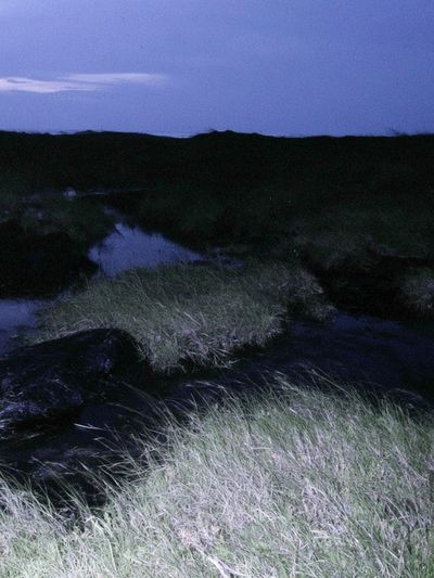 Twilight Marshland Photography Poster.