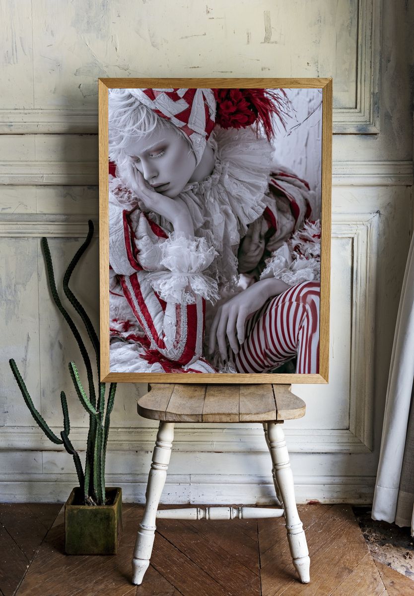 Red and White Portrait Photography Poster. room preview