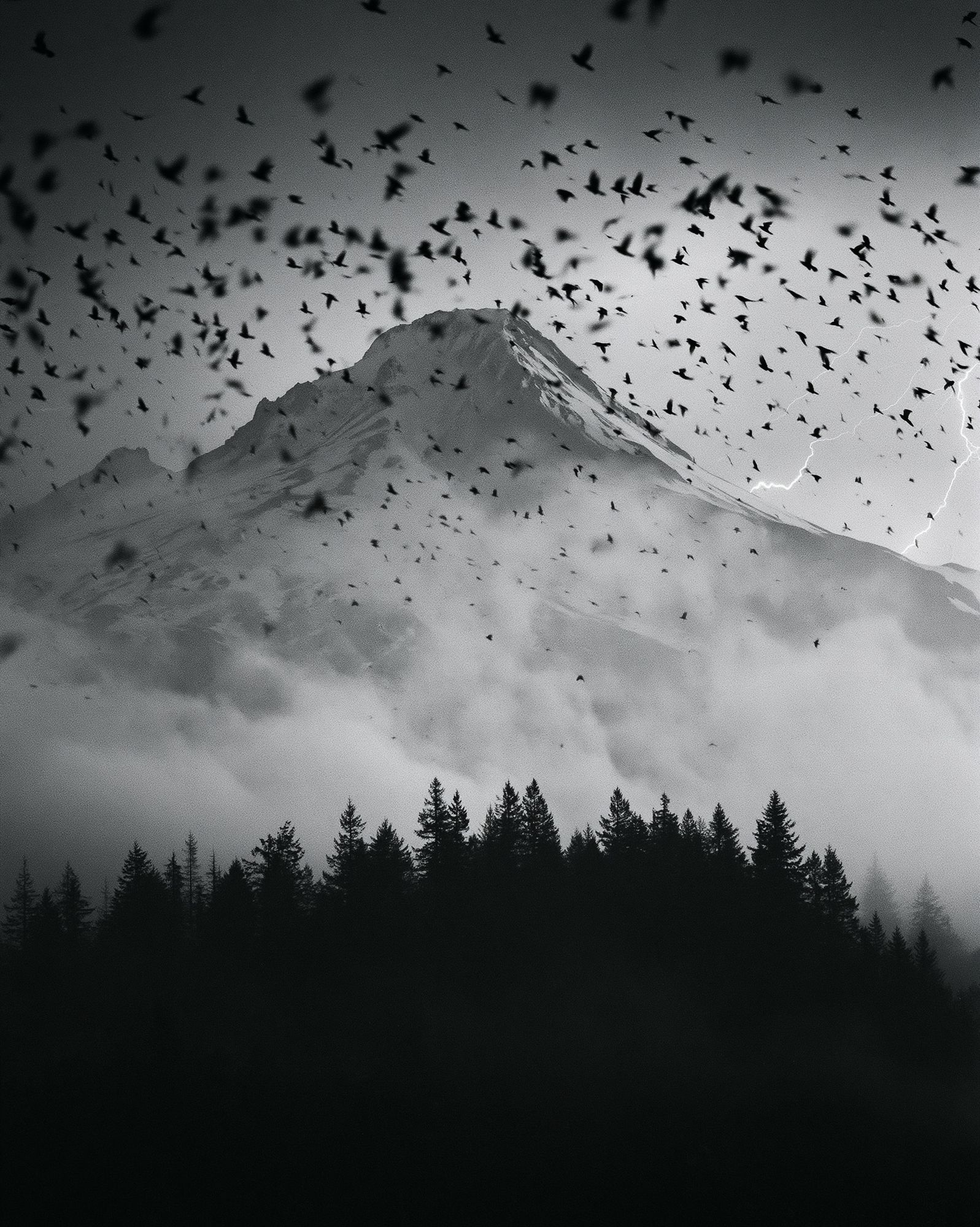 Stormy Mountain Birds Photography Poster. poster — photography art