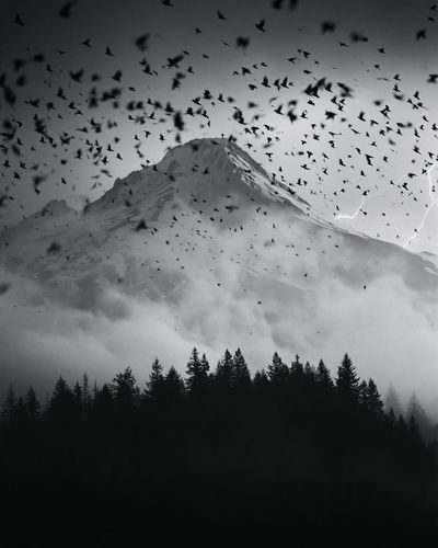 Stormy Mountain Birds Photography Poster. poster