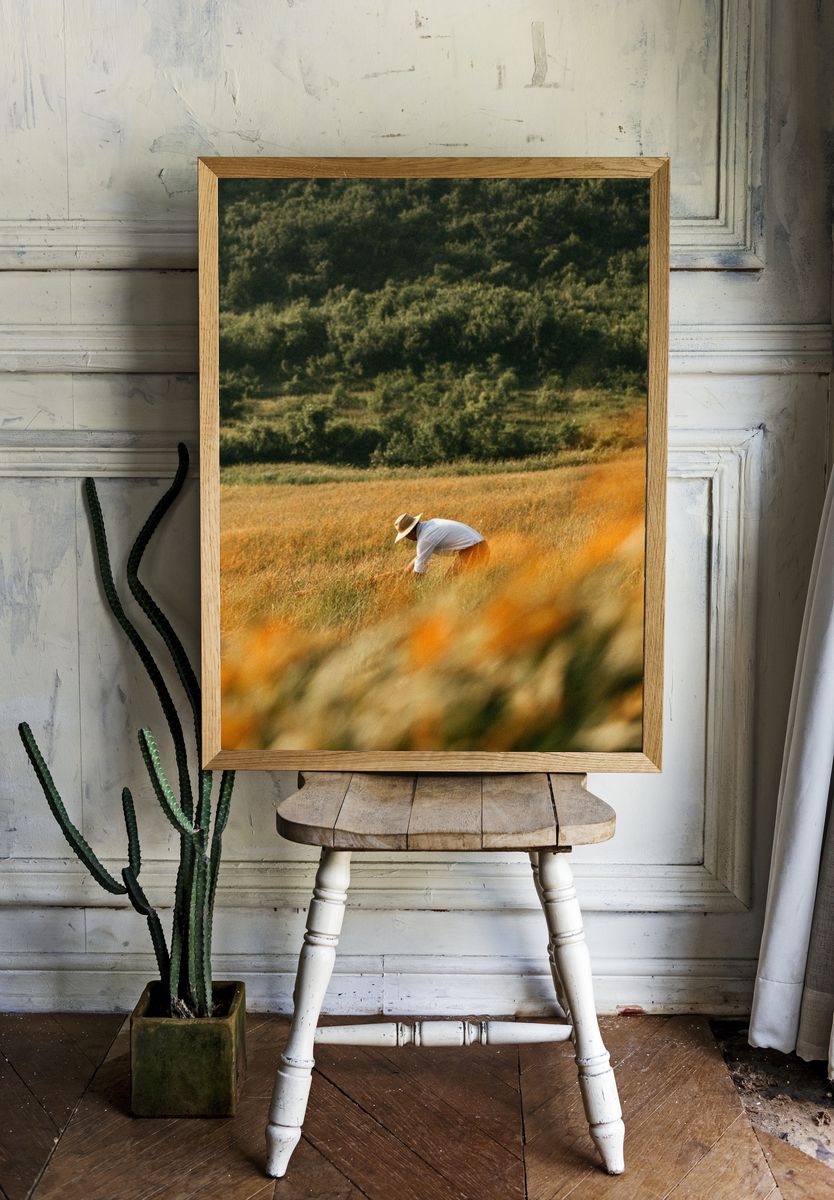 Harvest Field Worker Photography Poster. room preview