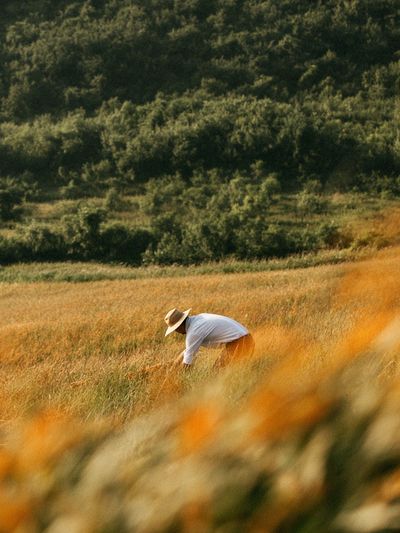 Harvest Field Worker Photography Poster. poster