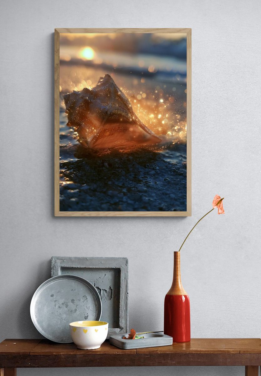 Seashell at Sunset Photography Poster. — room view 3