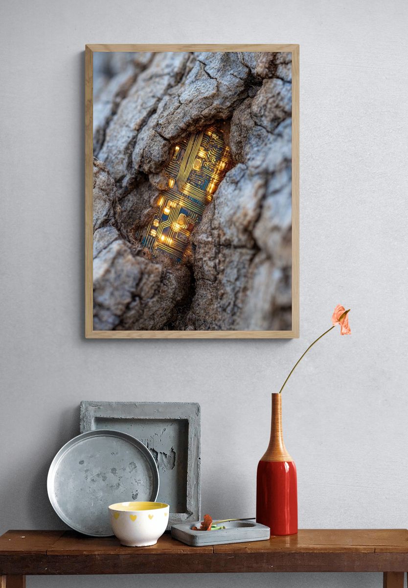 Circuit Board in Tree Bark — Photography Print. — room view 3