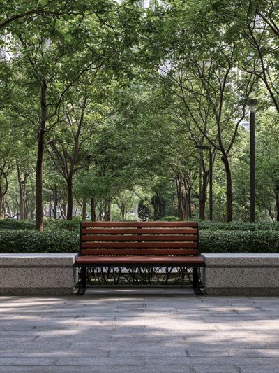 Urban Park Bench Photography Poster.