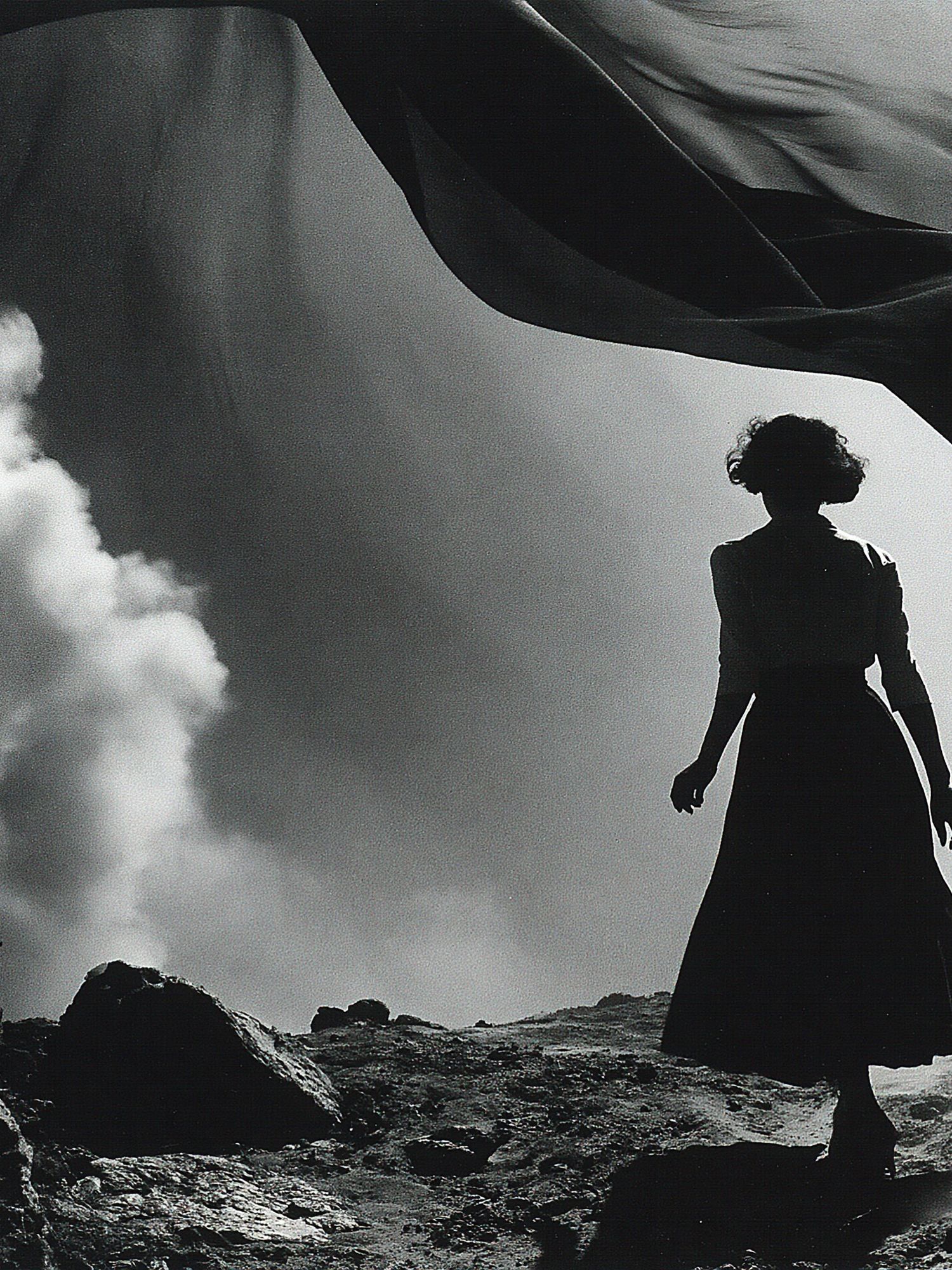 Silhouette in the Wind Photography Poster. poster detail