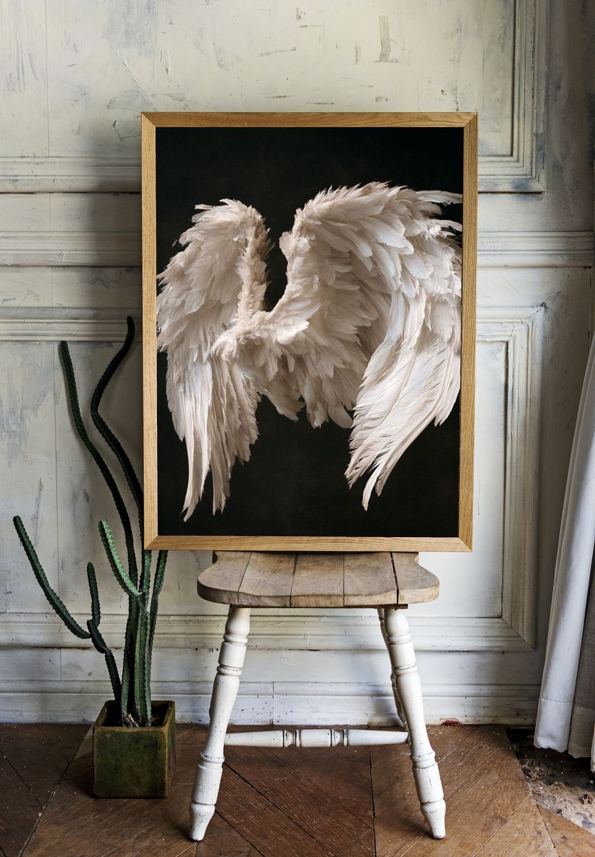 Fallen Angel Wings Photography Poster. room preview