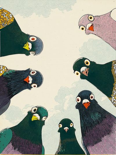 Playful Pigeons Illustration Poster.