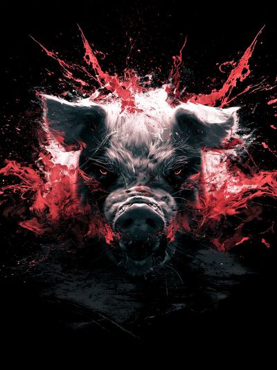Explosive Pig Portrait Print. poster