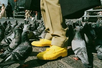 Pigeon Street Scene Photography Poster. poster