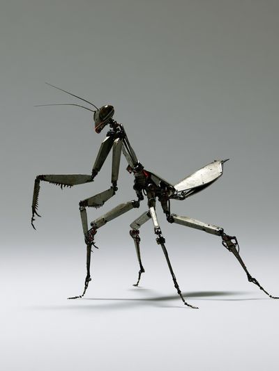 Mechanical Praying Mantis Illustration Poster. poster
