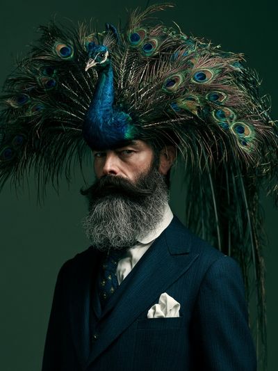 Peacock Portrait Photography Poster.