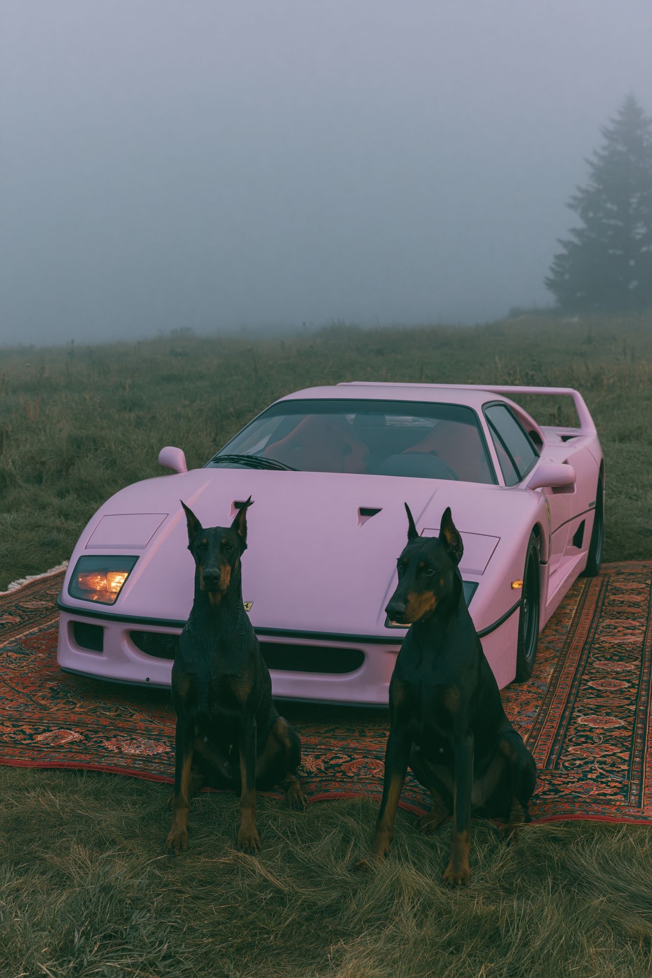 Pink Sports Car with Dobermans Poster. poster — photography art