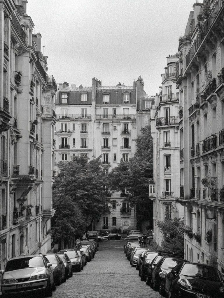 Paris Street in Black White Poster. poster detail