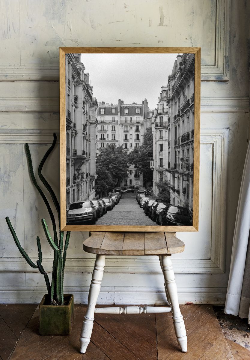 Paris Street in Black White Poster. room preview