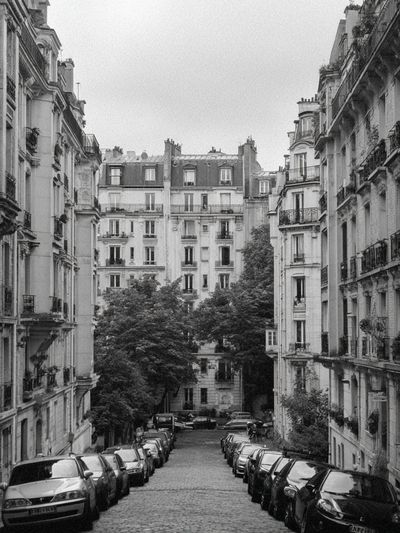 Paris Street in Black White Poster.