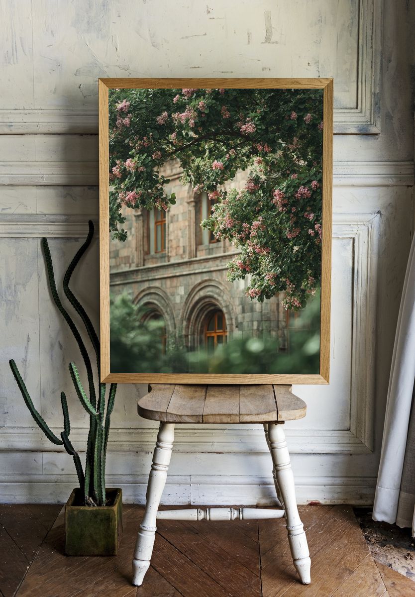 Blooming Tree by Historic Building — Photography Print. — room view 1