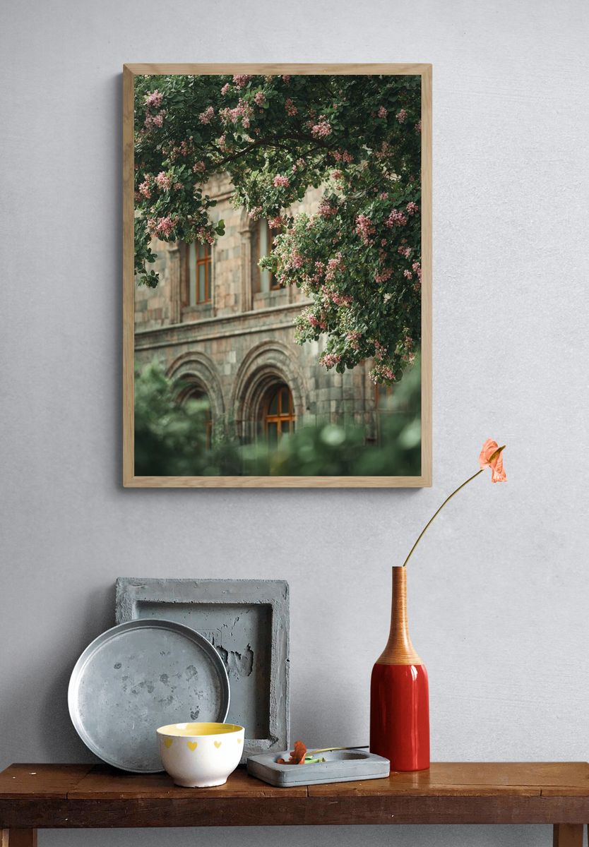 Blooming Tree by Historic Building — Photography Print. — room view 3