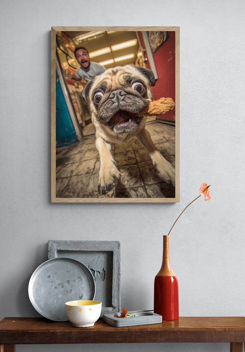 Excited Pug with Chicken — Funny Print. — room view 3