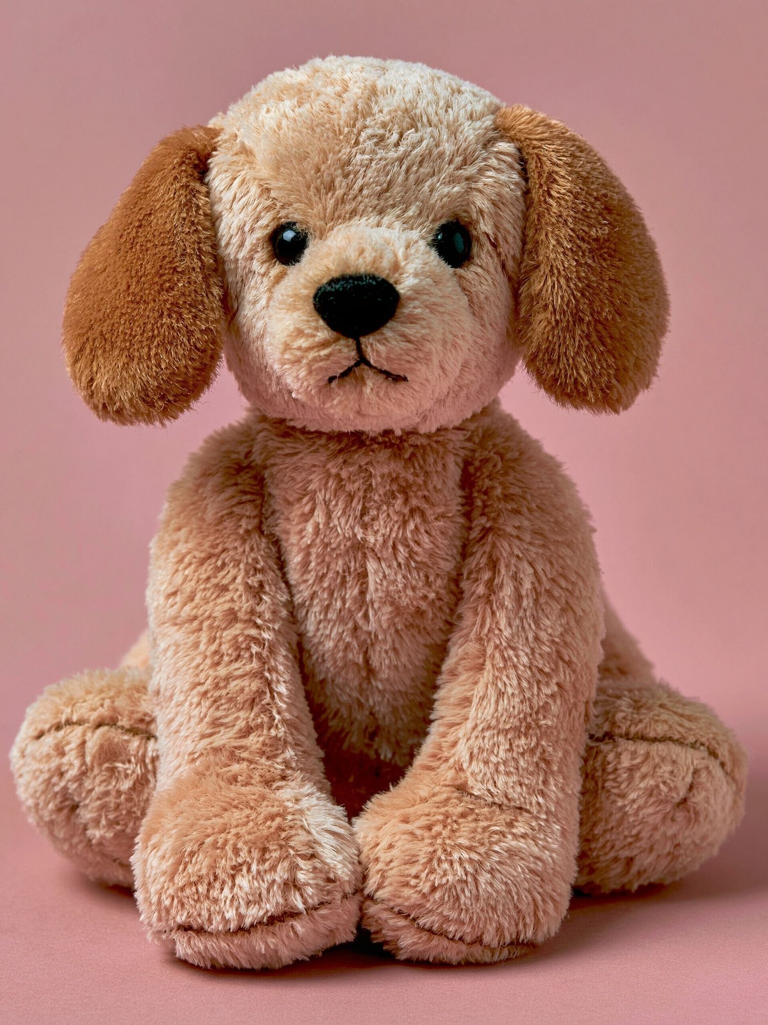 Plush Puppy Portrait Poster. poster detail
