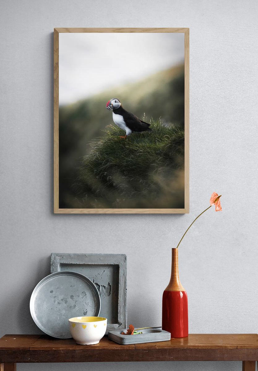 Puffin on Coastal Grass Poster. — room view 3