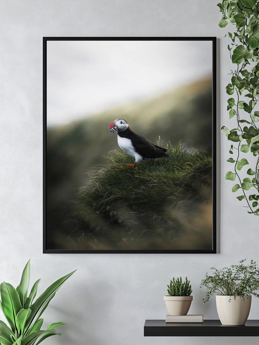 Puffin on Coastal Grass Poster. — room view 4