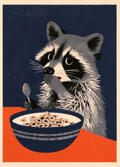 Raccoon Cereal Illustration Poster.