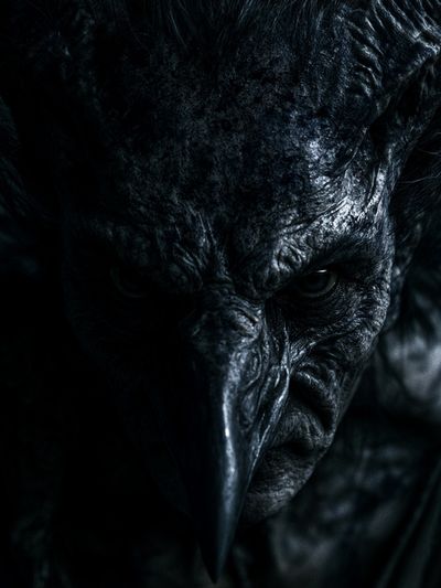 Dark Raven Portrait Poster.
