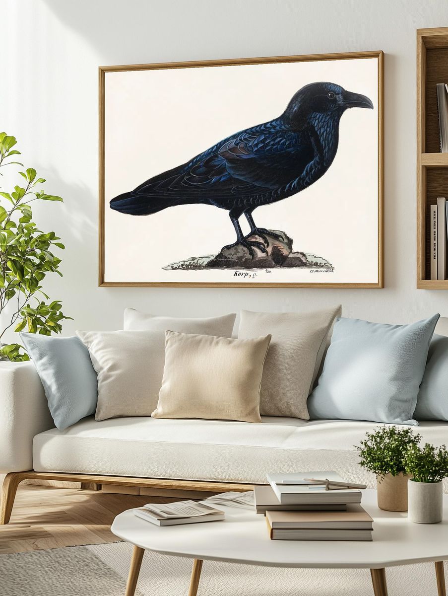 Raven Illustration Poster. — room view 2