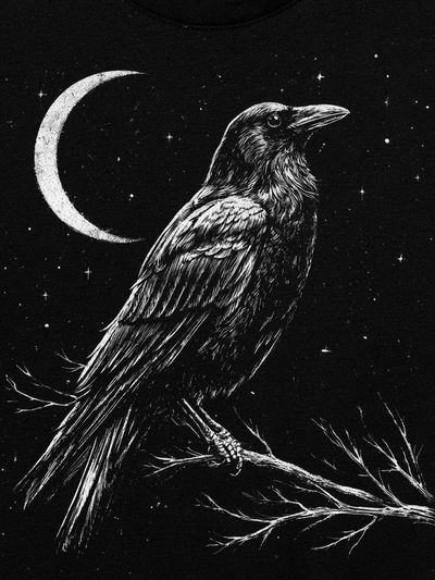 Raven Moonlit Night Print.