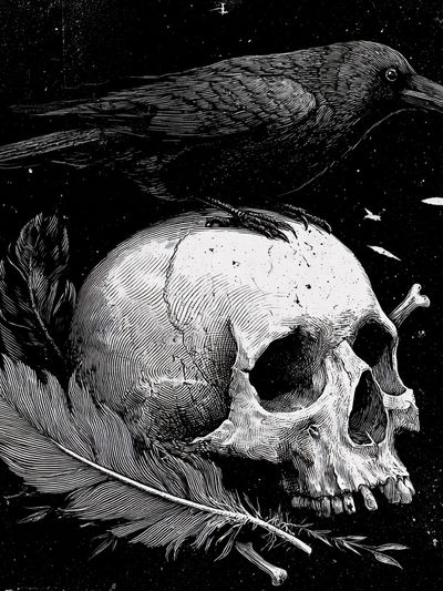 Raven and Skull — Gothic Art Print. poster