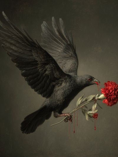 Black Raven with Red Carnation Print. poster print