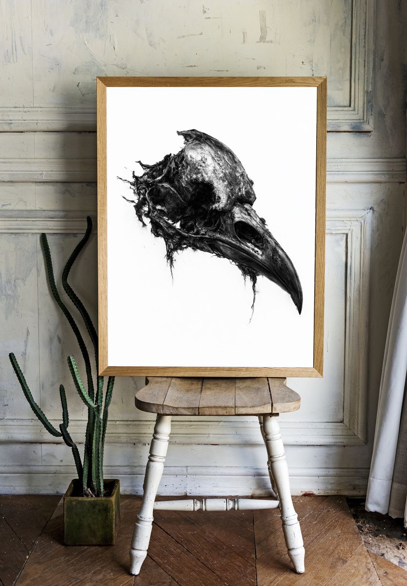 Raven Skull Black-White Print. — room view 1