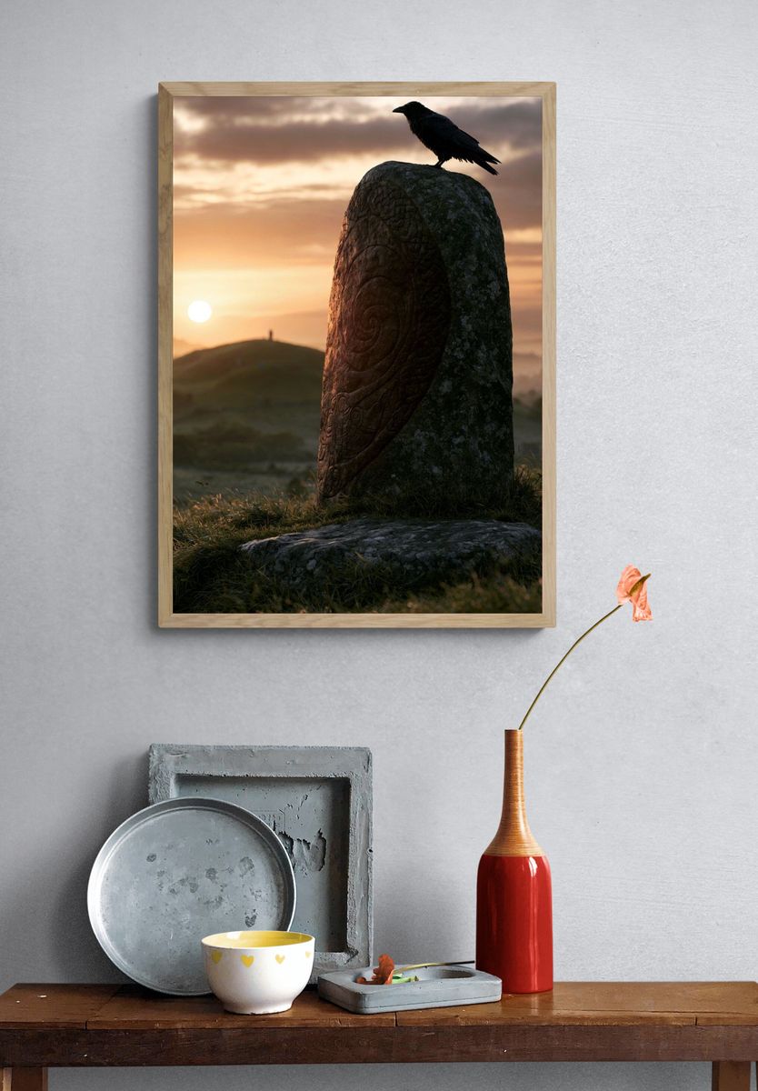 Raven at Sunset Photography Print. — room view 3
