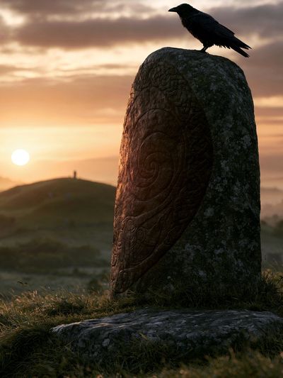 Raven at Sunset Photography Print.