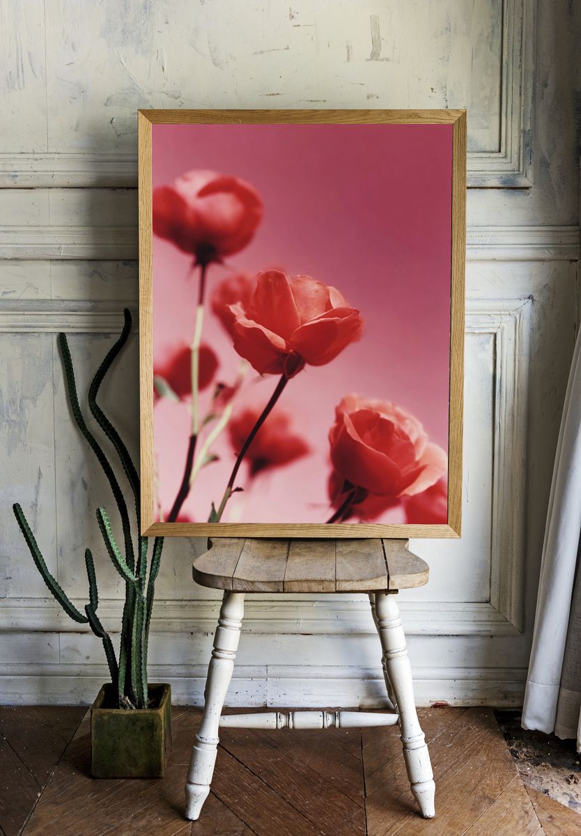 Roses on Pink Background Poster. — room view 1