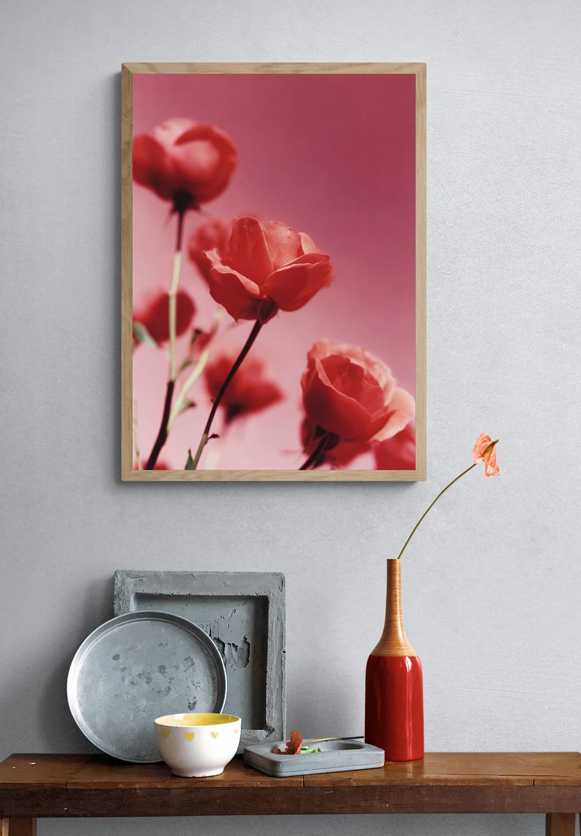 Roses on Pink Background Poster. — room view 3