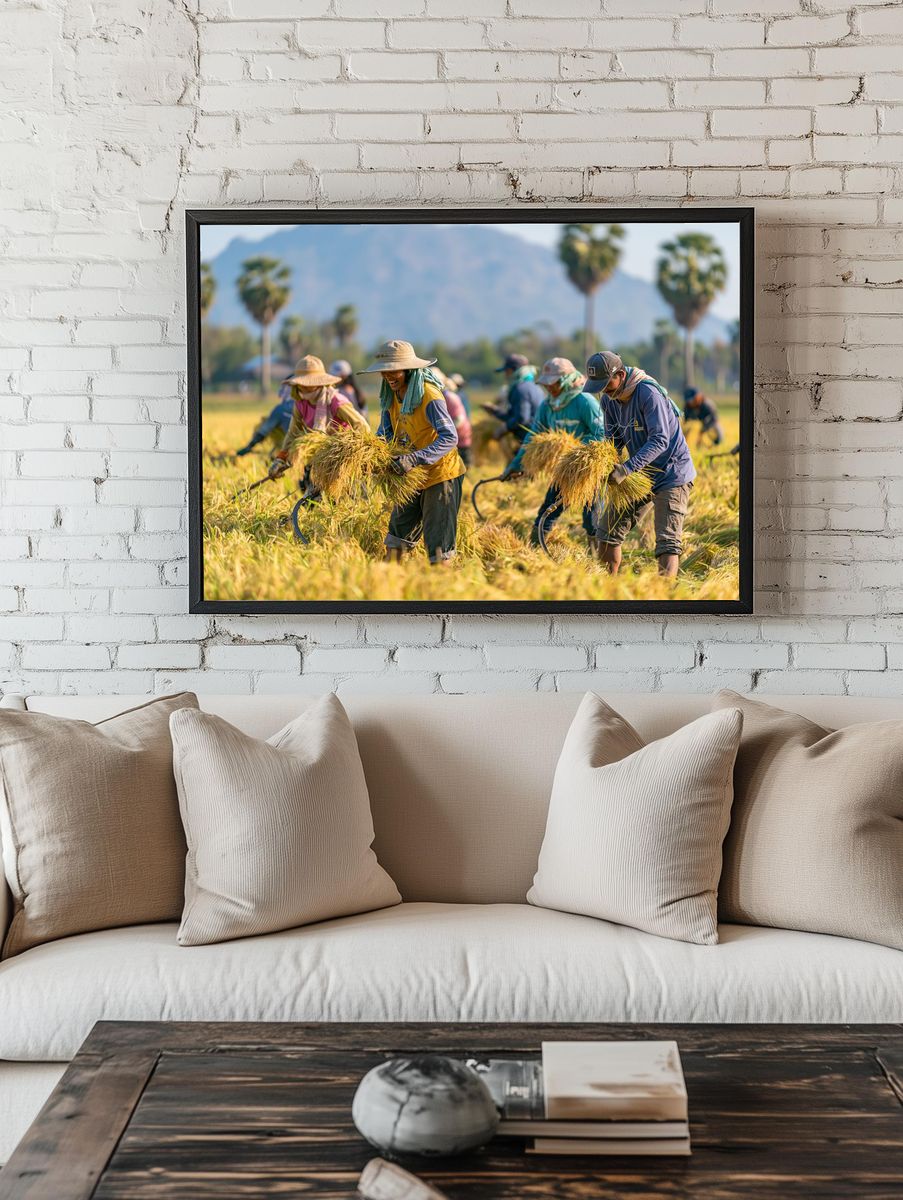 Rice Harvest Field Photography Poster. — room view 1