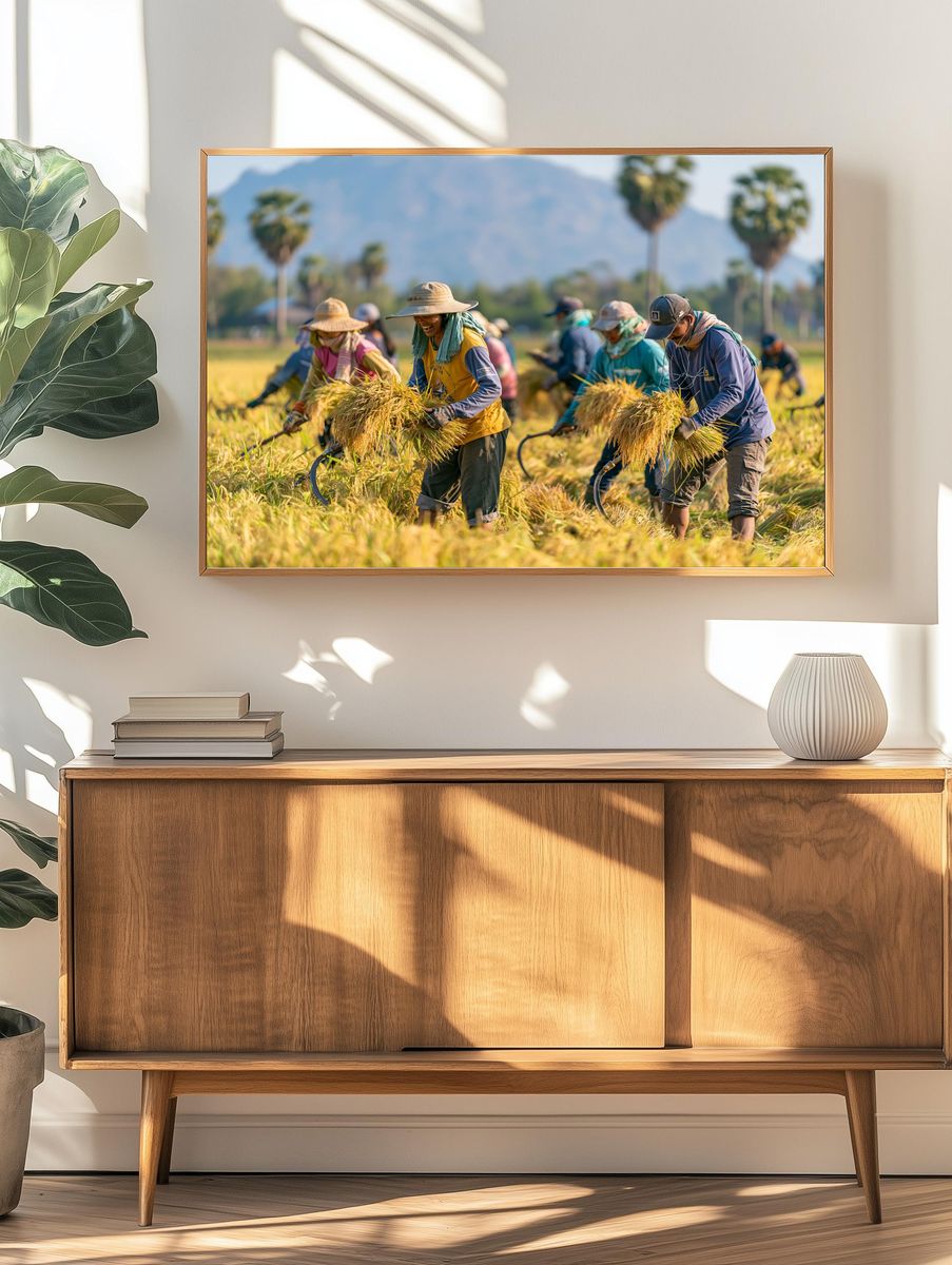 Rice Harvest Field Photography Poster. — room view 3