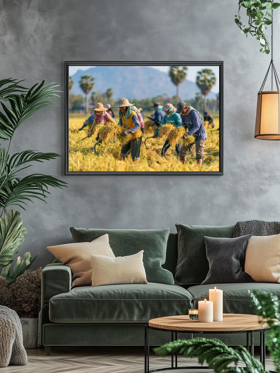 Rice Harvest Field Photography Poster. — room view 4