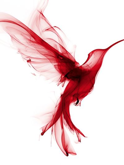 Red Hummingbird — Abstract Print. poster