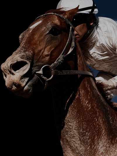 Racehorse Jockey Photography Poster. poster print