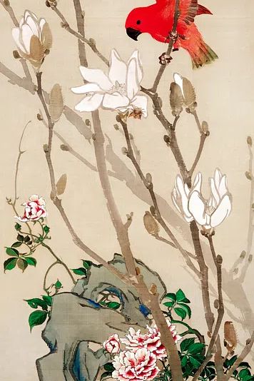 Red Bird and Magnolia Flowers — Fine Art Print. poster — fine-art art