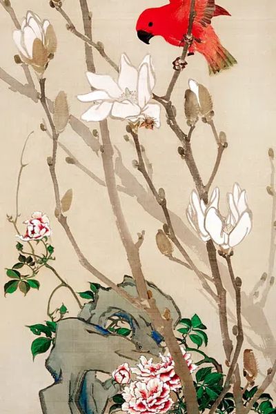 Red Bird and Magnolia Flowers — Fine Art Print. poster