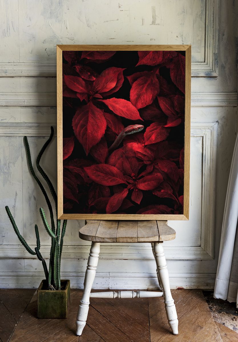 Red Snake Among Leaves — Nature Print room preview