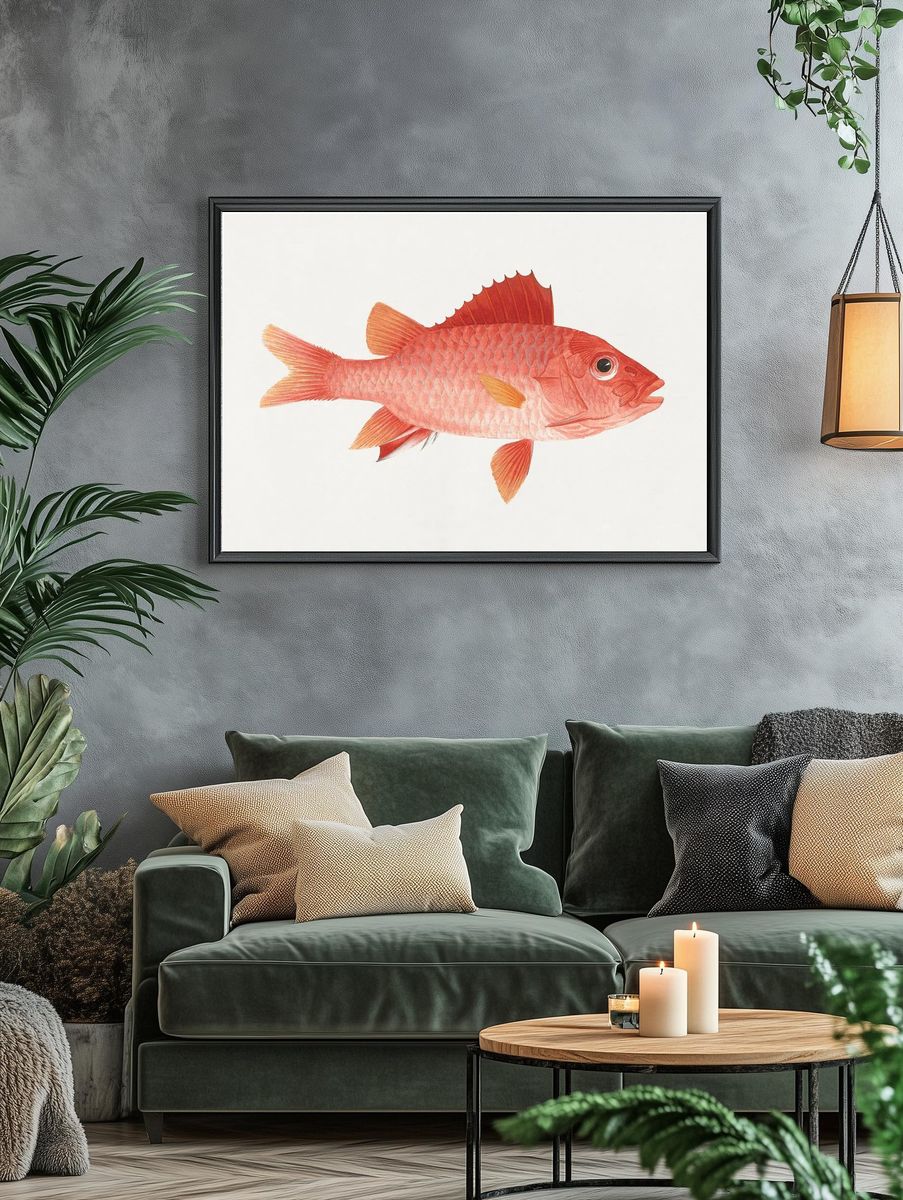 Red Snapper Watercolor Print. — room view 4