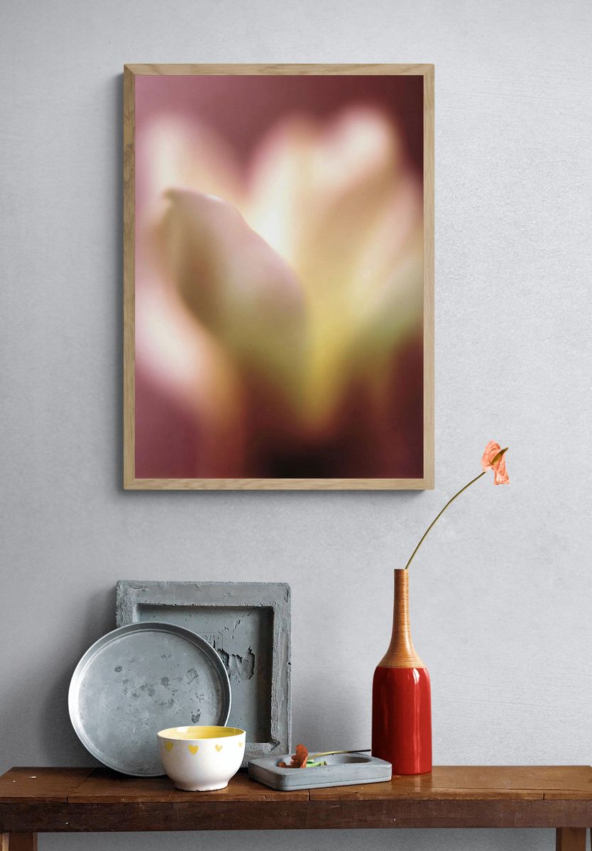 Soft Bloom — Fine Art Print. — room view 3